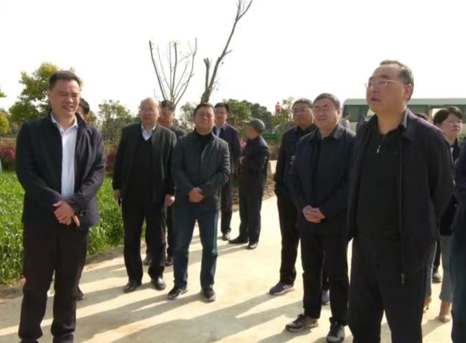 市政协来我县开展“以‘小田并大田’为抓手，推进高标准农田建设”调研活动