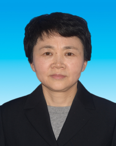 陈力.jpg